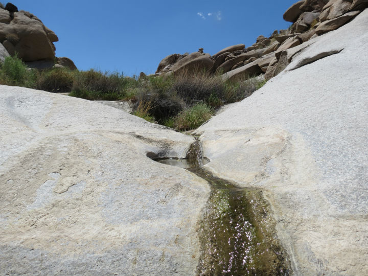 Desert oasis